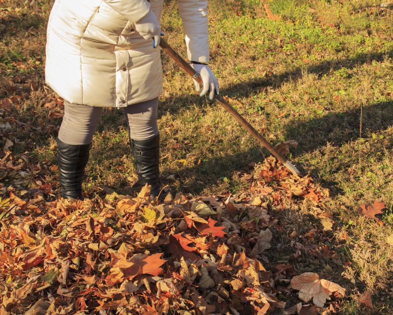 Seasonal Yard Clean Up Experts