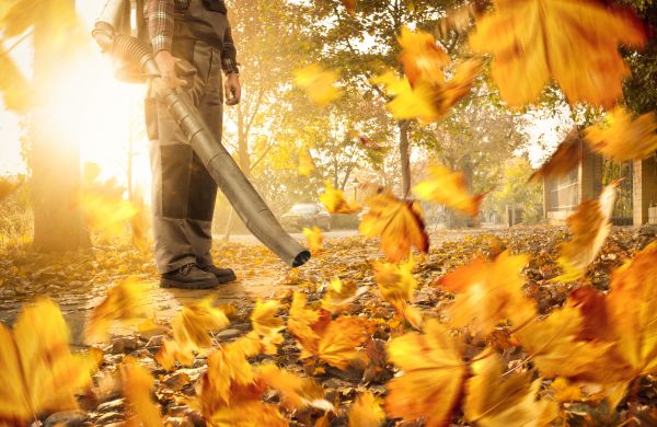 Leaf Blowing Service in Gig Harbor