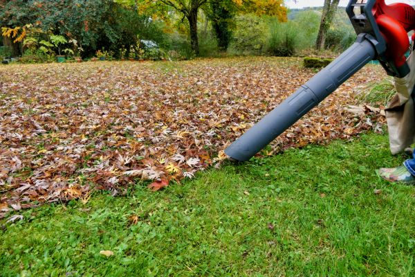 Leaf Vacuuming Service in Gig Harbor