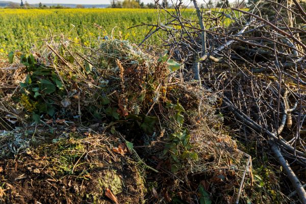 Brush Disposal in Gig Harbor