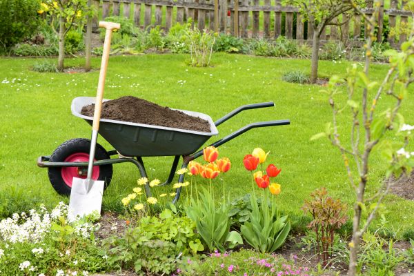 Cost of Spring Yard Cleanup in Gig Harbor