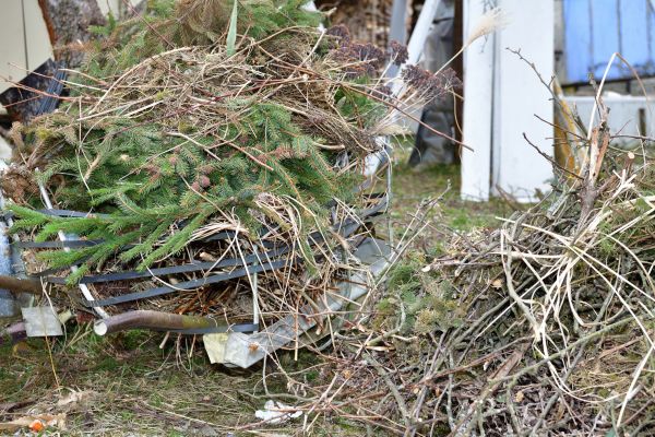 Yard Waste Removal Service in Gig Harbor