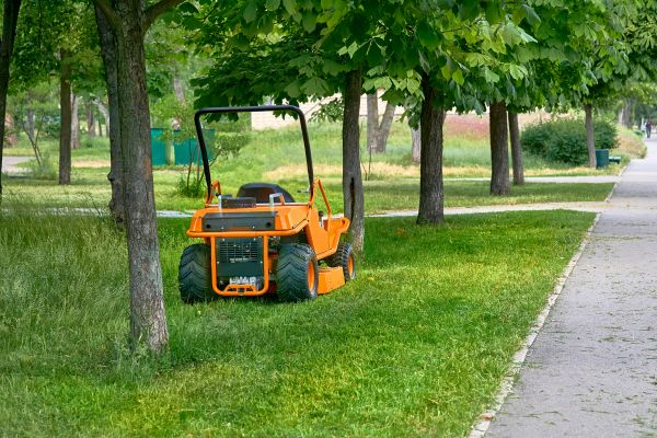 Landscaping Cleanup Service in Gig Harbor