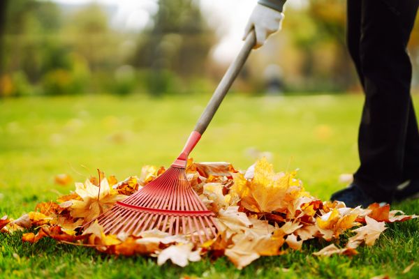 Cost of Ditch Leaf Removal in Gig Harbor