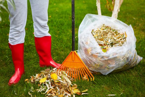 Cost of Leaf Disposal Service in Gig Harbor