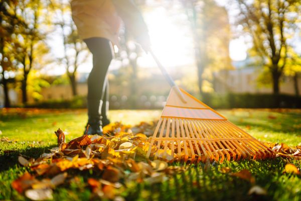 Leaves Raking in Gig Harbor