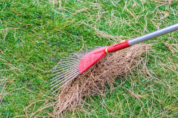 Yard Raking in Gig Harbor