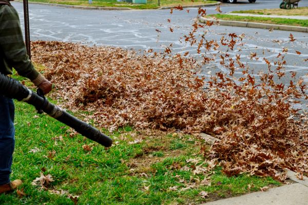 Cost of Garden Leaf Removal in Gig Harbor