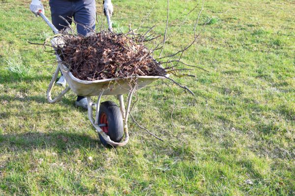 Yard Brush Removal in Gig Harbor