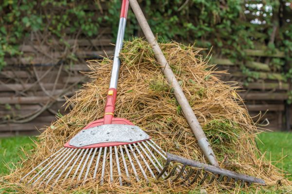 Cost of Pine Straw Clearing in Gig Harbor
