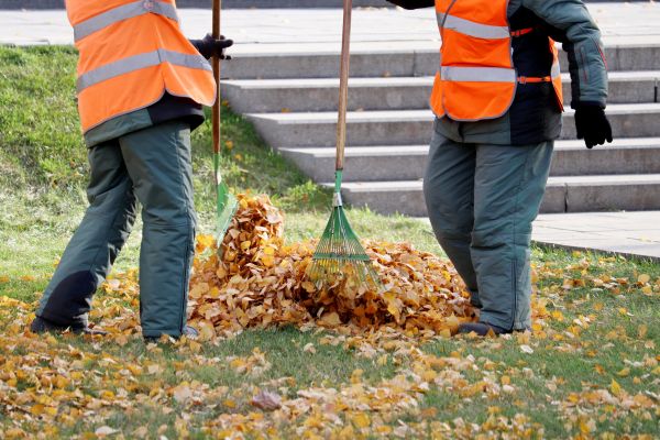 Cost of Leaf Hauling Service in Gig Harbor