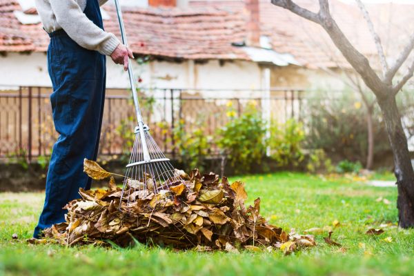 Spring Lawn Cleanup in Gig Harbor