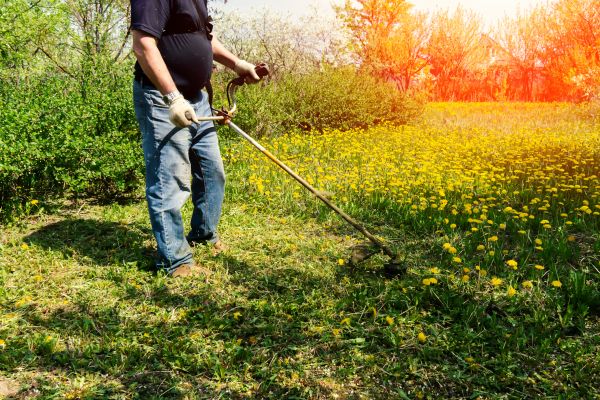 Cost of Yard Clearing Service in Gig Harbor