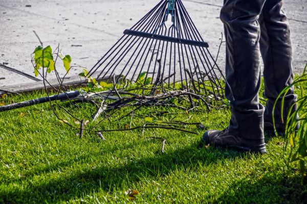 Yard Debris Cleanup in Gig Harbor