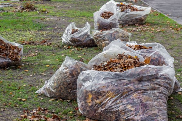 Cost of Leaf Pile Disposal in Gig Harbor