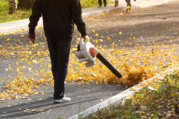 Commercial Leaf Removal in Gig Harbor